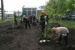 Яблоневый сад и цветочная клумба появились на территории старого коксохимзавода в Кемерове